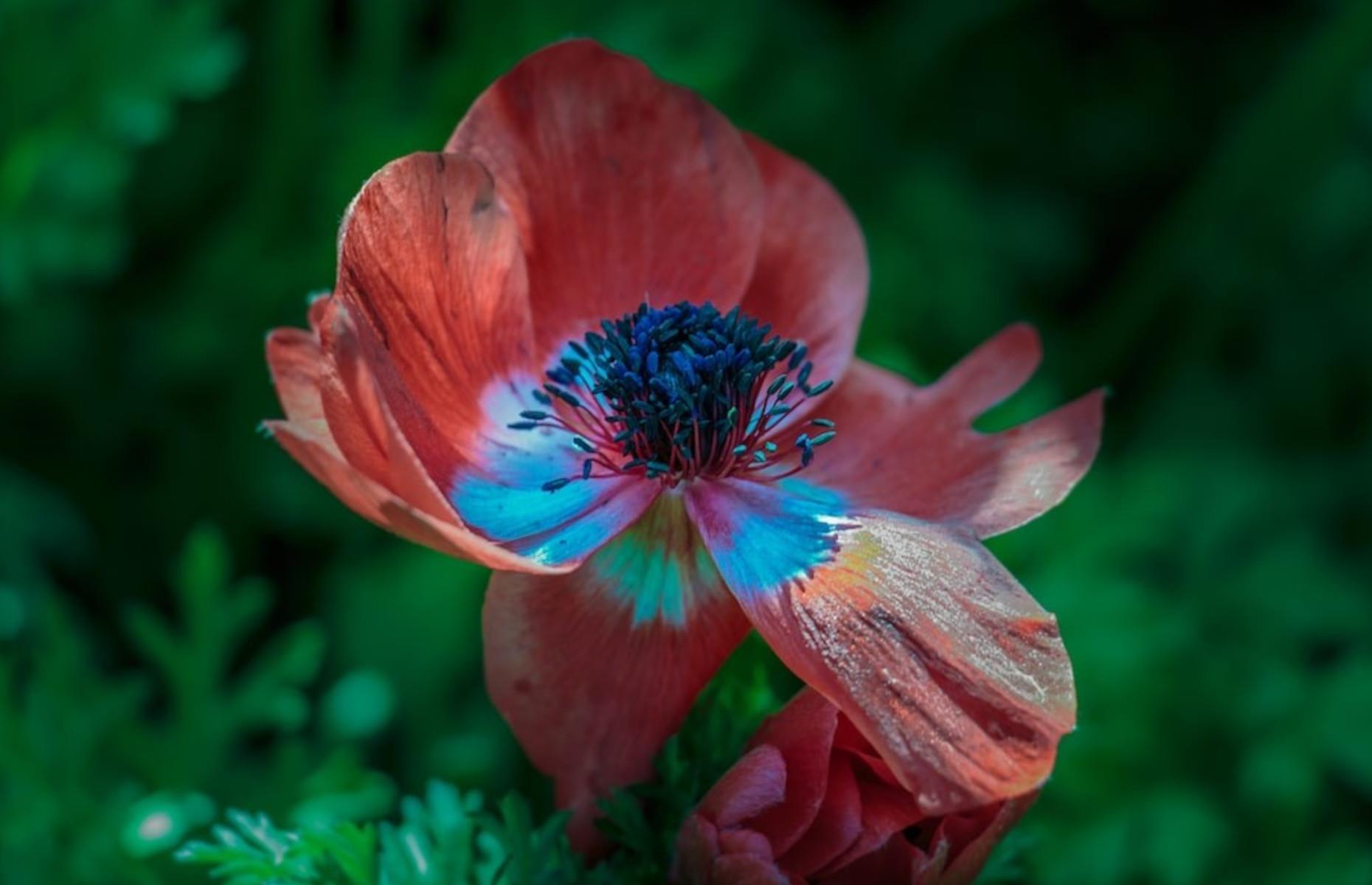Horti-futurism